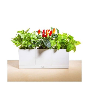 Bộ 3 Chậu Trồng Cây Thông Minh Legrow Basic Kit